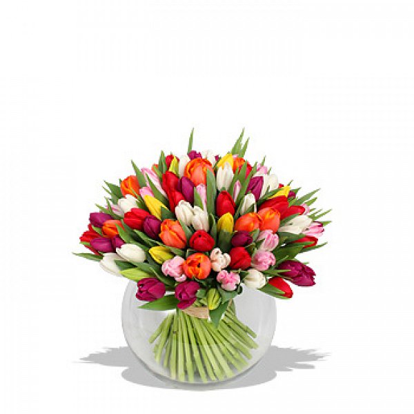 Тюльпаны в магазине цветов Charlotte.ru | доставка цветов по всему миру